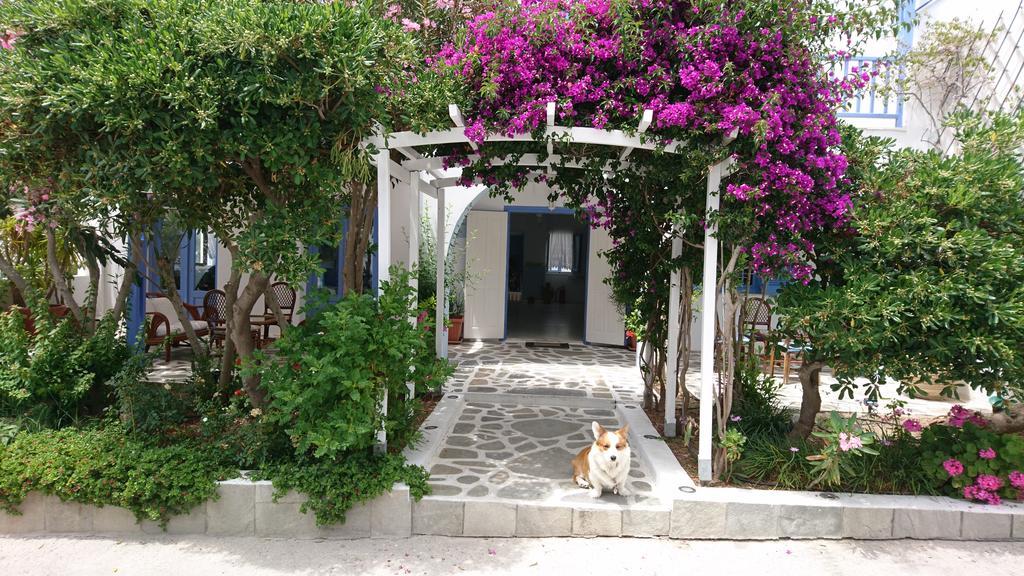 ホテル Panorama Paros エクステリア 写真