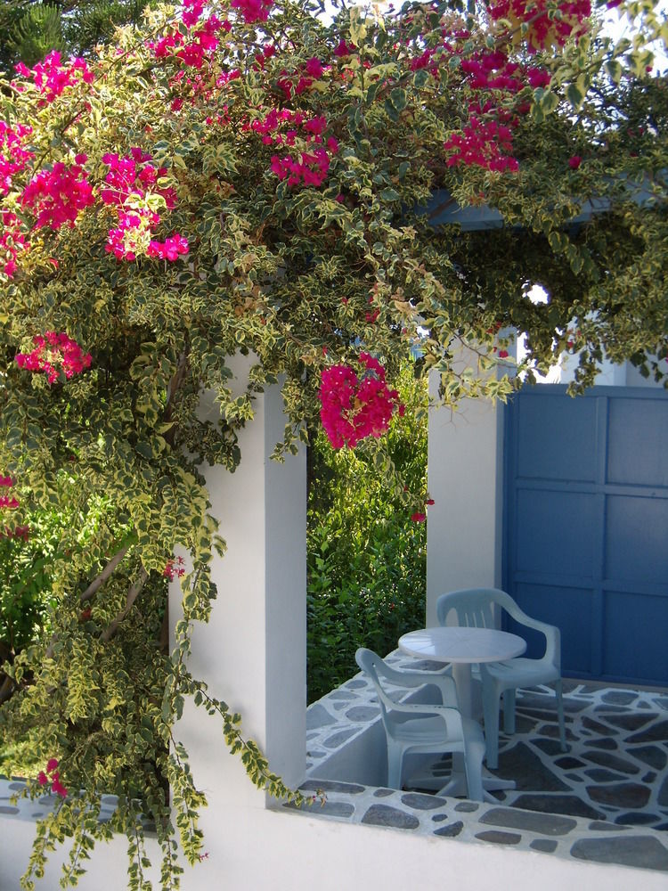 ホテル Panorama Paros エクステリア 写真